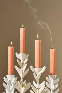 Tonal Taper Candles, Set of 4 | Anthropologie