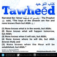 #Allah #Quran #hadeeth #sunnah #quranverse #quranquotes #muslim #islam #islamicquotes #dua #islamicreminders #muslimpins #SubhanAllah #Alhamdulilaah #Bismillah #Islamicpins #islamicinfo #tawheed #aqeedah #tawakkul #taqwa #salafy #salafi #salafiyyah #manhaj