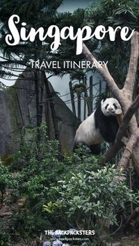 Best way to explore #Singapore in 4 days. Travel #itinerary to experience Singapore in 4 days. Includes all the must visit attractions and budget tips! #thebackpacksters #travelguide #parkhopping