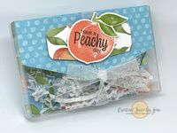 Peachy Cassette Gift Box – Creative Juice by Loni