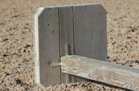 Build Your Own Cavalletti | Practical Horseman