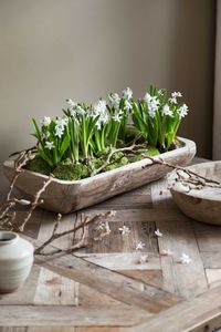 Zo fris en puur … Heerlijk als je de lente in huis kan halen. De ruwe, houten schaal is de perfecte keuze voor deze groene voorjaarscreatie.