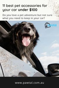 Do you love a pet adventure but not sure what you need to keep in your car? Pawtal identifies the 11 best pet accessories for your car under $100.00. Follow Pawtal for more pet travel tips!