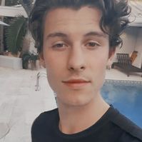 boys icons singers shawn mendes aesthetic wonder