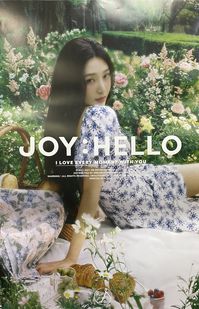 레드벨벳 공동구매👯 on Twitter: "JOY POSTER #레드벨벳 #조이… "