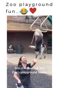 Zoo playground fun..😅@ecosenpai❗ because you want more👍🙌😍😅The best video about animals! funny zoo animals videos |funny animal videos | funny animal videos can't stop laughing hilarious | cute animal videos animal videoys | baby animals videos | wild animal videos | pet videos | funny and dog videos | animal videos funny dogs | videos animales | | animals aesthetic videos | animals friendship videos. #cuteanimalsvideos#cuteanimals#animalsvideos #funnyvideos#cutevideos#funny
