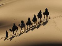 size: 24x18in Photographic Print: Bedouin Caravan Riding Through the Sahara Desert, Near Merzouga, Morocco, North Africa, Africa by Michael Runkel : Artists