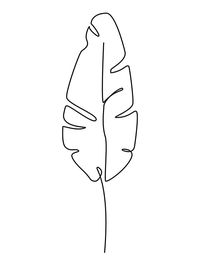 Het blad van een bananenboom.