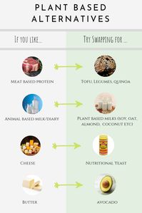 Why You Should Aim to Have More Plant Based Foods in Your Diet