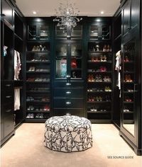 this closet. please?
