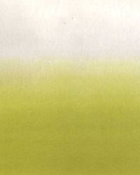 Panel Designers Guild Castellani P600/03 SARAILLE - ACACIA | Tapetujemy.pl