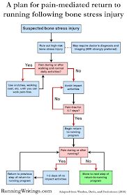 Running writings: The bone stress injury model: a new way to deal with stress fractures and stress reactions in runners