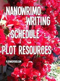 How Best to Schedule Your Writing Time for Success during NaNoWriMo2014 #NaNoWriMo #writing