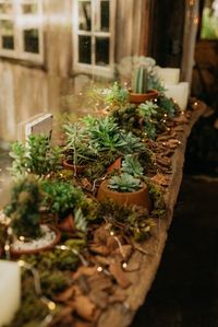 Casamento boho DIY cheio de personalidade na Villa Mandacarú – Caroline