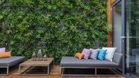 Imagine stepping outside onto your back porch into a lush, green oasis. You sit on your comfortable patio furniture and breathe in the fresh outdoors, admiring how the greenery has enhanced your overall wellbeing. VistaFolia green walls utilize artificial plants to create the type of safe haven you desire whilst providing other benefits that real plants may not offer.