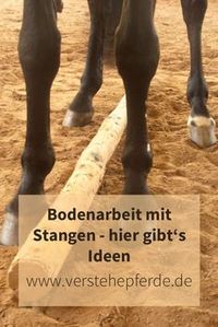 Bodenarbeit mit Stangen, Übungen mit Stangen, Ideen mit Stangen