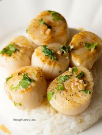 Portuguese Scallops