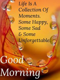 Good morning🌹🍃🌹