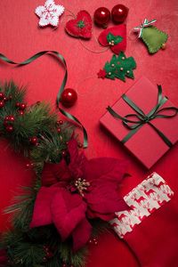 Christmas Flowers Images #christmasflowers #christmasflowersimages #christmasflowersphotos #christmasflowerspictures #imagesofchristmasflowers #picturesofchristmasflowers