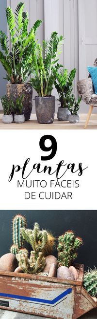 Plantas simples para cuidar e decorar! Clique no link! #plantas #simples #easy #decor #decoration #decoração #casavogue