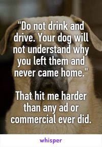 Awww. There are a billion reasons why people shouldn't drink + drive. This is one people probably don't think about as often.