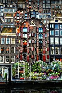 Flower Market - Amsterdam (by Thrasivoulos Panou) Netherlands. Europe.