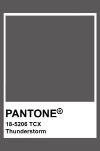 PANTONE 18-5206 TCX Thunderstorm