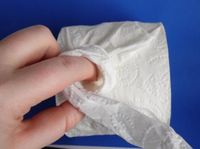 Make a Rose with Toilet Paper Origami