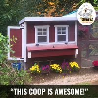 "I have 30 chickens so I purchased two of the large coops. My 14 and 25 year old sons put them together by themselves.... I was amazed at how quickly they were done. I would highly recommend this coop to anyone. Worth every penny!"