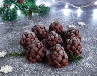 Рецепт шоколадных сосновых шишек без выпечки - Дневник Чиччины