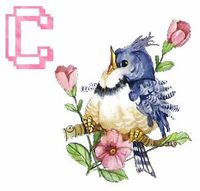 The Letter C ~ Bluebird Alphabet