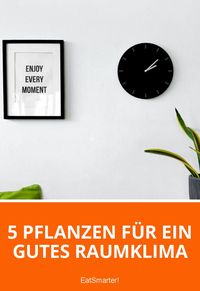 5 Pflanzen für ein gutes Raumklima