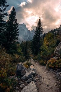 The Most Educational Family Vacation denver to grand teton national park just on travelarize.com