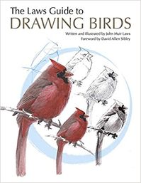 The Laws Guide to Drawing Birds : Laws, John Muir: Livros — Amazon Brasil
