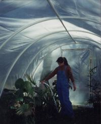 Plans for pvc pipe greenhouse