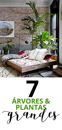 Confira árvores e plantas grandes para colocar dentro de casa! Clique no link! #árvore #tree #plantas #decor #decoration #casavogue