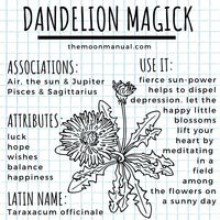 The Green Witch Diaries - Dandelion - Wattpad