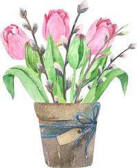Watercolor tulips composition in wood box.Bouquets of flowers, leaves, willow and branch in pots. Spring compositions of tulips.