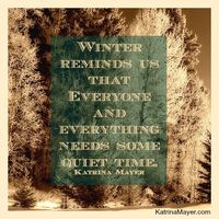 "Winter reminds is that everyone and everything needs some quiet time." -Katrina Mayer