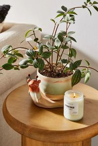 Home + Apartment: Furniture, Décor, + More | Urban Outfitters