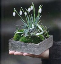 kleiner Frühlingsgruß - #Frühlingsgruß #kleiner #printemps - Erik - #dekofrühling - kleiner Frühlingsgruß - #Frühlingsgruß #kleiner #printemps - Erik