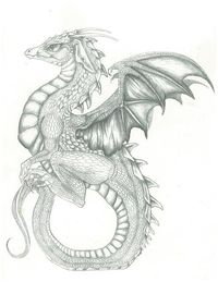 dragon sitting on tail by jessiesdragons.deviantart.com on @deviantART