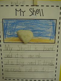 Descriptive writing to go with Is this a House for Hermit Crab?