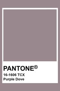 PANTONE 16-1606 TCX Purple Dove
