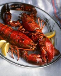 Grilled Lobster Recipe