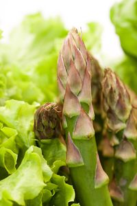 Asparagus plant companions are plants that have a symbiotic relationship, one that is mutually beneficial to each. In the following article, we will discuss the benefits of companion planting with asparagus and what grows well with asparagus.