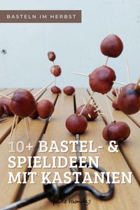 Mit Kastanien kann man Spiele spielen, Buchstaben legen, Wurfspiele machen, Fühlbäder genießen, Tiere basteln, Ketten basteln und vieles mehr!