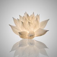 Lotus révèle toute la poésie et la technicité propres à l’origami. Laissez-vous surprendre par son étonnante géométrie et envahir par la sérénité qui s’en dégage… Posée, en suspension ou donnant l’illusion de la lévitation, cette plante sacrée des pays d’Orient devenue…