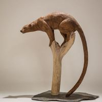 Nick Mackman Fossa, Low-fired Ceramic 48 x 56 cm