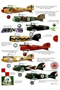 German World War One Albatros D.II and D.III biplane fighters